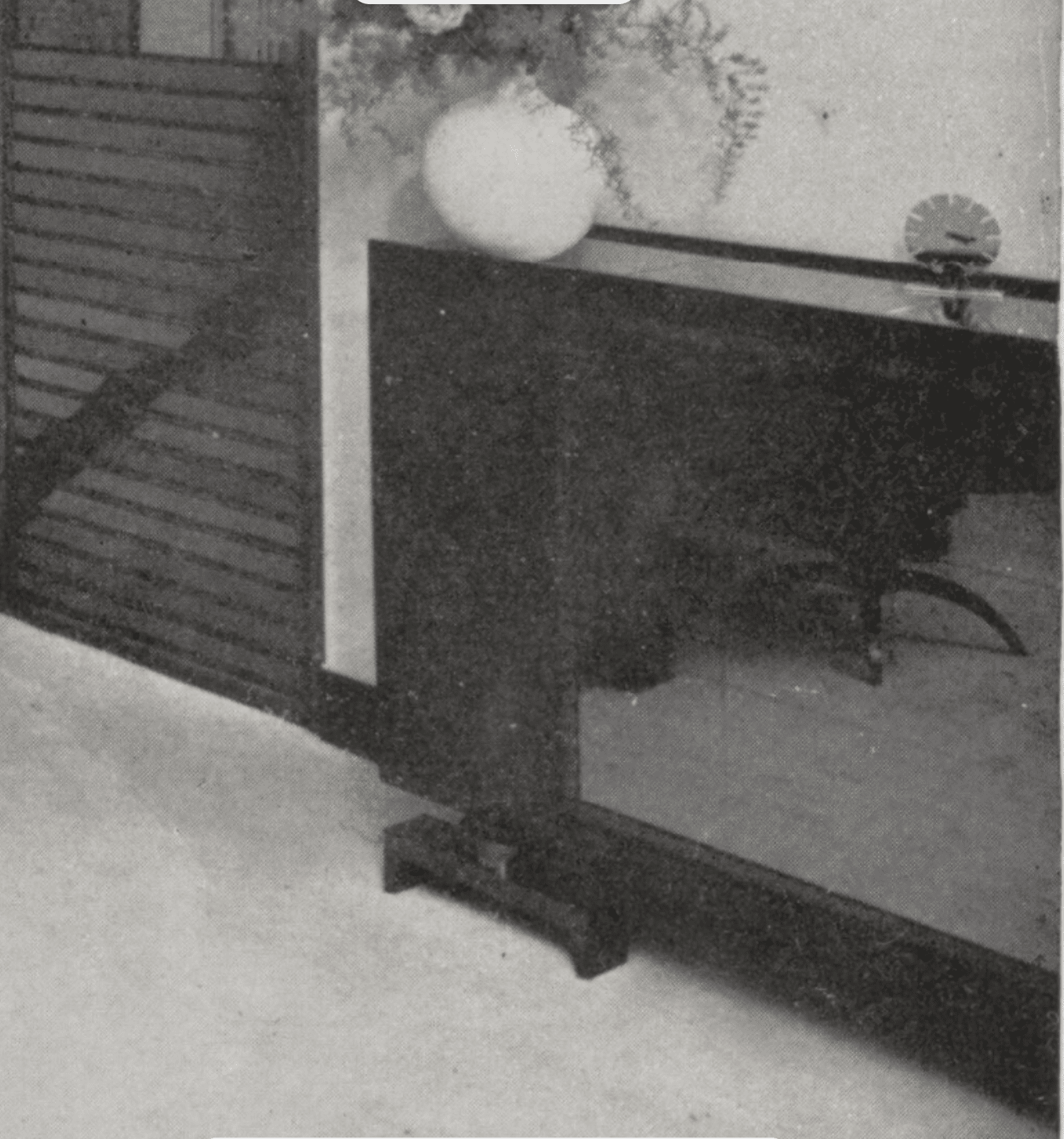 Pierre Bacharah - Image 11